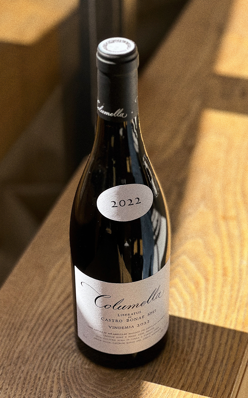 Columella Red '22