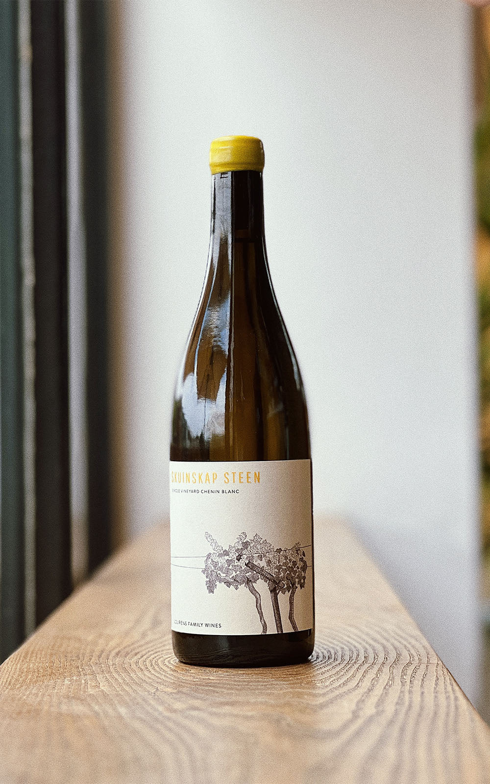 Skuinskap Steen Chenin '22