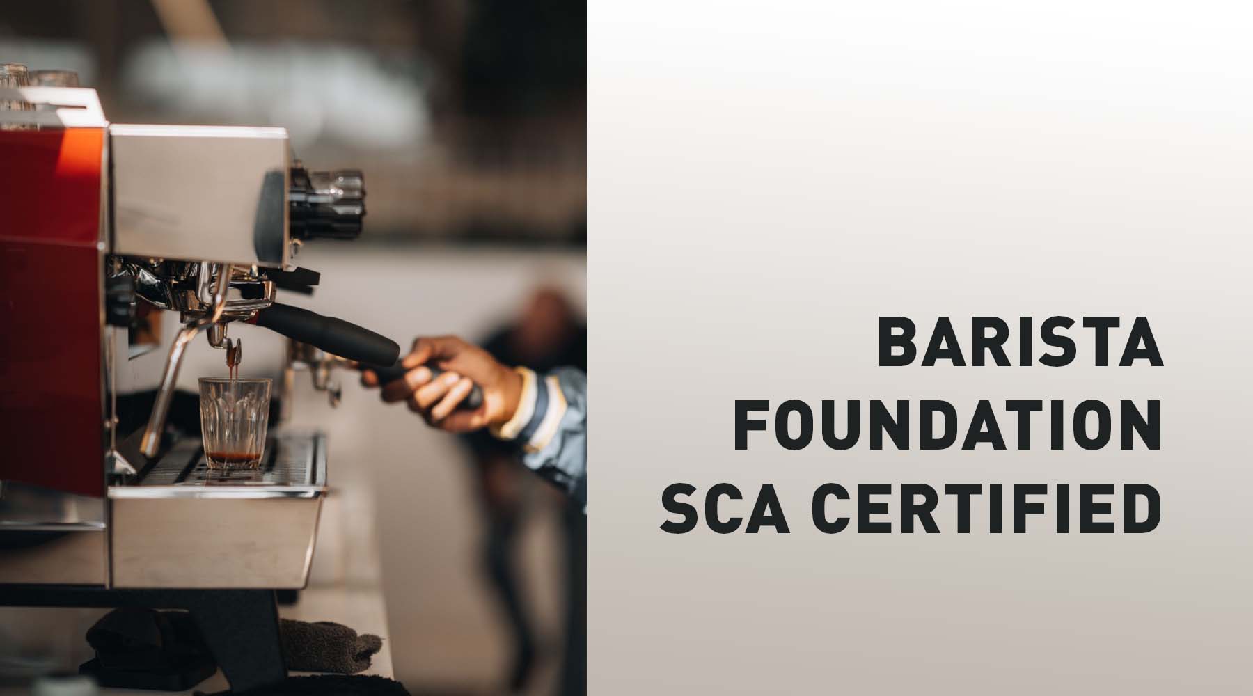 Barista Skills Foundation SCA Certified – 28 Aug 2023