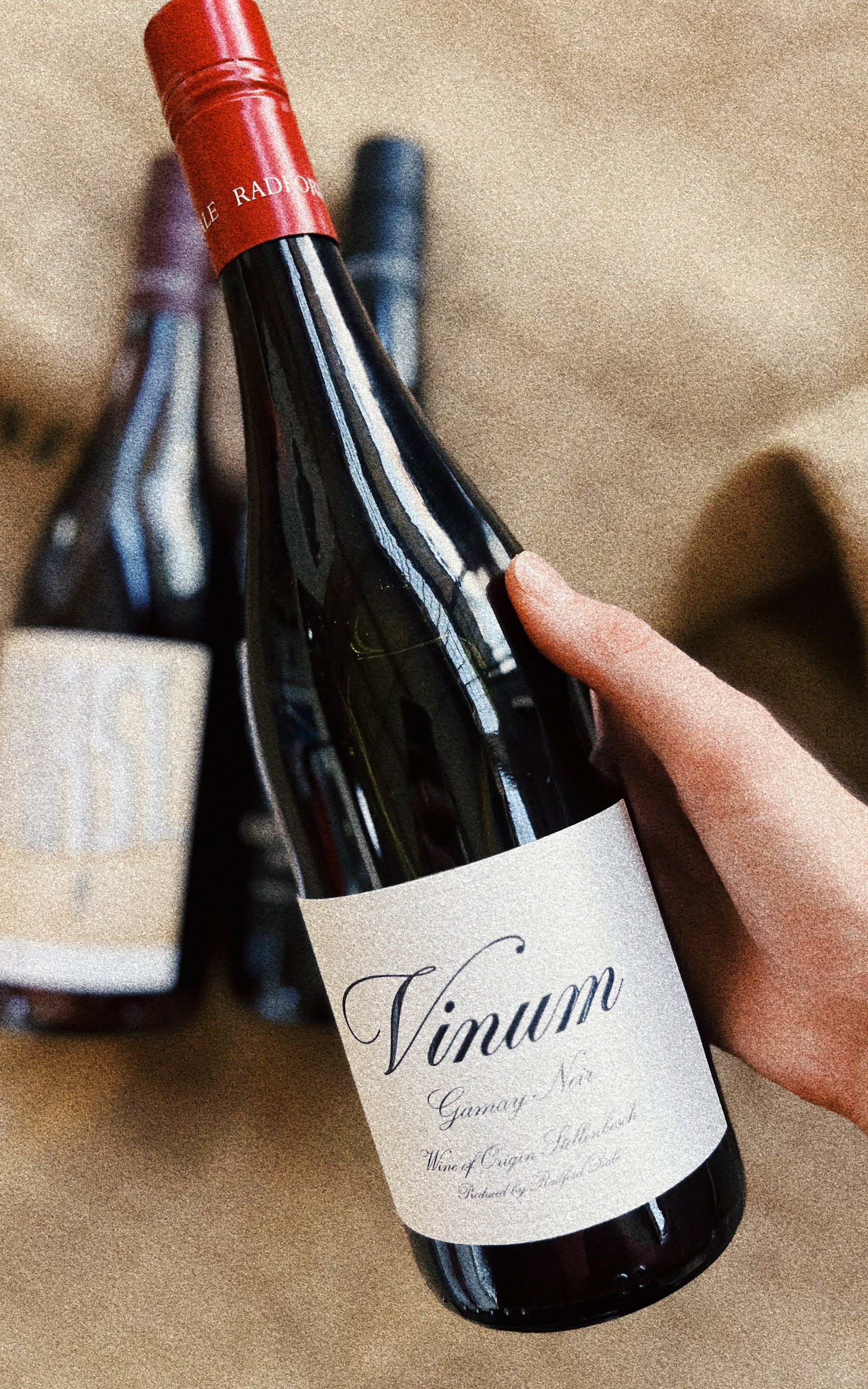 Vinum Gamay Noir '22